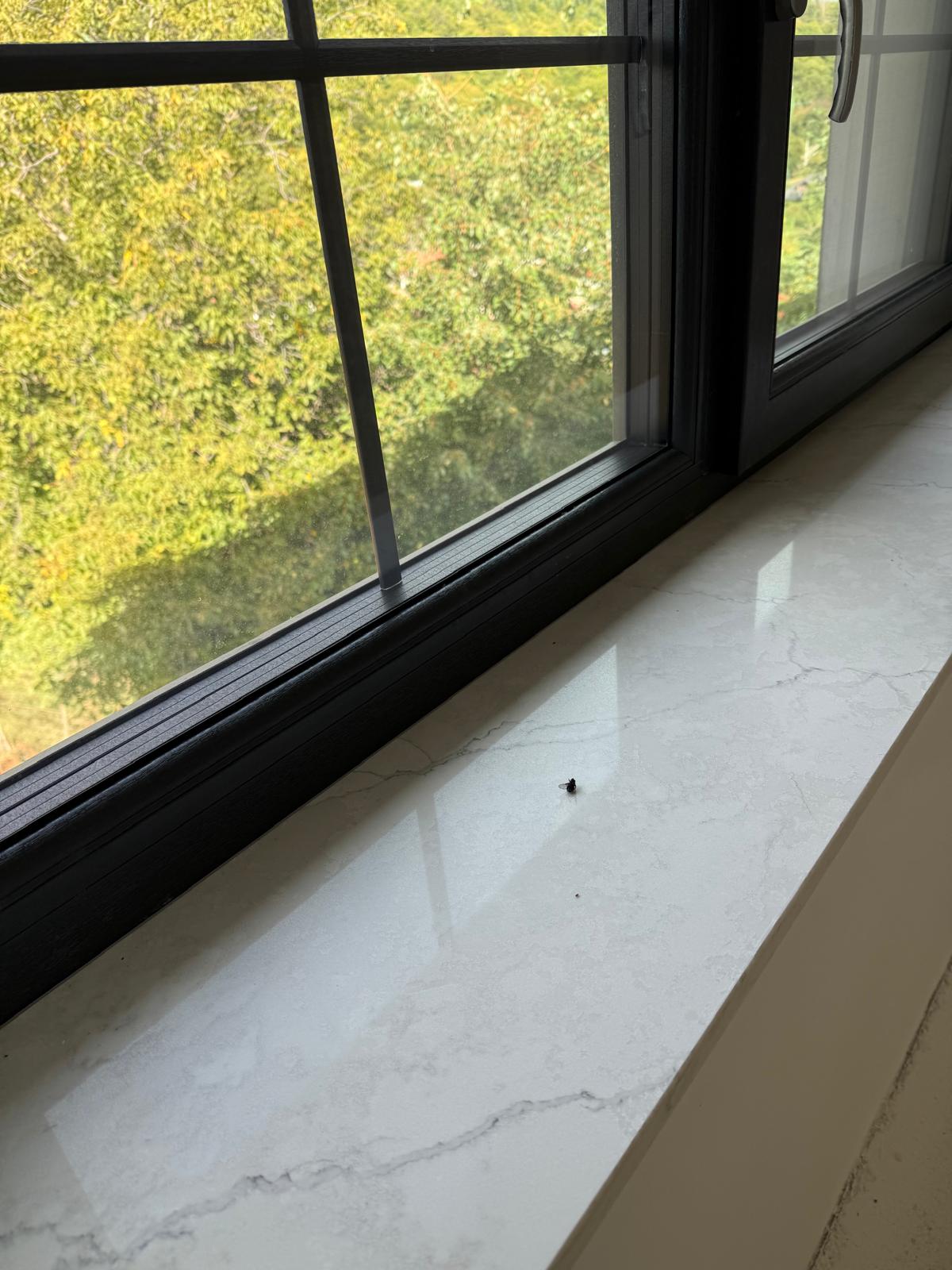 Glaf quartz Calacatta Concorde – 6